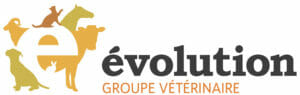 Groupe vétérinaire Évolution: Votre vétérinaire à Nicolet, Shawinigan, & Louiseville, Québec